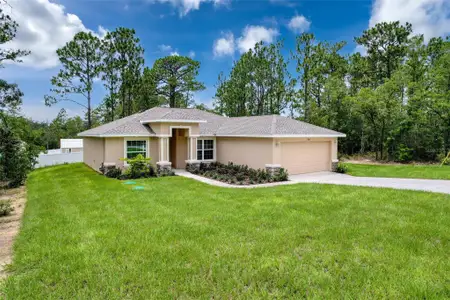 New construction Single-Family house 7792 N Susan Ave, Dunnellon, FL 34433 - image