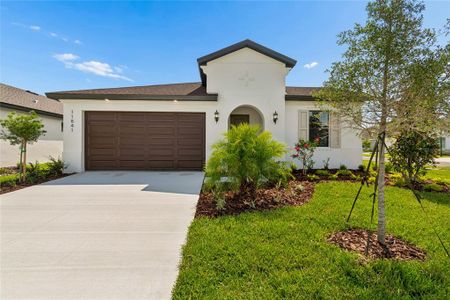New construction Single-Family house 11841 Moonsail Dr, Parrish, FL 34219 plan 404 - image 2