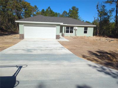 New construction Single-Family house 157 Fisher Court, Ocklawaha, FL 32179 - photo 0