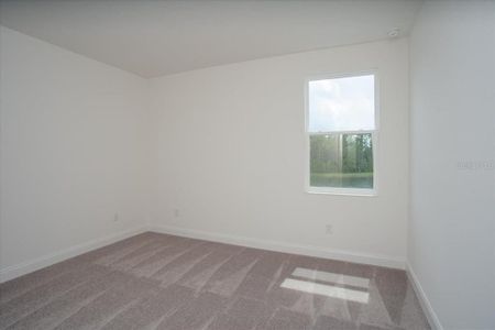 New construction Single-Family house 2574 Wise River Ln, Zephyrhills, FL 33541 plan Yosemite - image 14