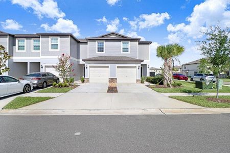 New construction Townhouse house 10263 Trumpet Honetsuckle Wy, San Antonio, FL 33576 - image