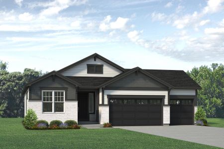 New construction Single-Family house 16960 Mckay Dr, Mead, CO 80542 plan Lakewood II - image 16