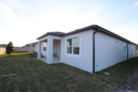 New construction Single-Family house 3150 Adams Cross Dr, Zephyrhills, FL 33540 Miranda- photo 94 94