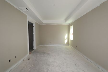 New construction Single-Family house 20339 Oriana Loop, Land O' Lakes, FL 34638 Newport II- photo 79 79