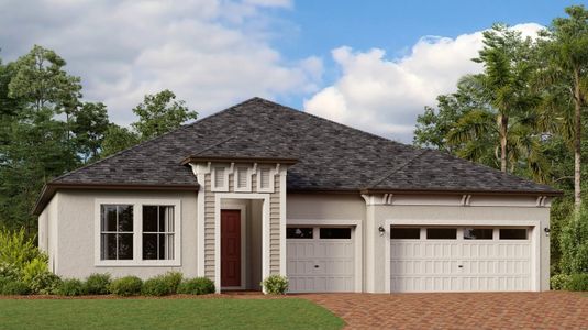 New construction Single-Family house 20421 Rose Cottage Wy, Land O' Lakes, FL 34637 null- photo 0 0