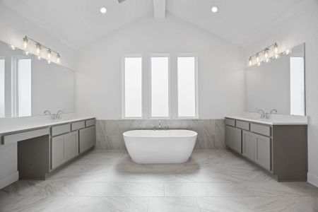 New construction Single-Family house 537 Tonada Cv, Liberty Hill, TX 78642 plan The Collins - image 11