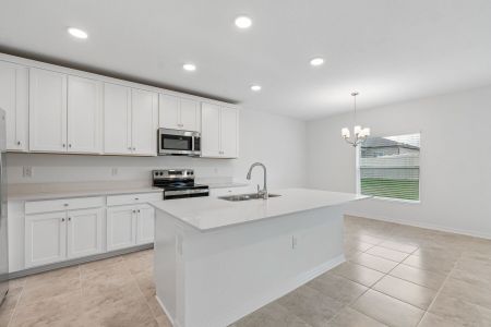 New construction Single-Family house 12262 Stirrup Dr, Dade City, FL 33525 plan Ventura - image 12
