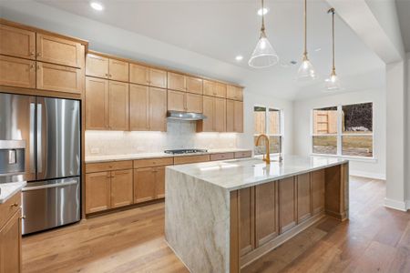 New construction Single-Family house 17225 Alta Madera Ln, Pflugerville, TX 78660 plan Palmer - image 12