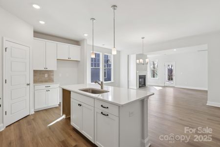 New construction Single-Family house 10936 Dogwood Ln, Unit 50, Huntersville, NC 28078 - image 12