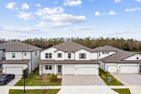 New construction Single-Family house 7819 Notched Pine Bnd, Wesley Chapel, FL 33545 Windsor- photo 77 77