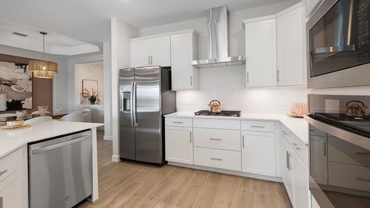 Calusa Country Club: Executive Homes 12