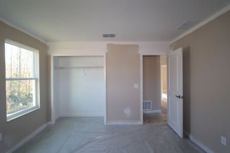 New construction Single-Family house 20125 Oriana Loop, Land O' Lakes, FL 34638 Santina II- photo 154 154