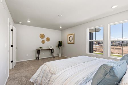 New construction Single-Family house 8785 Whiteclover St, Littleton, CO 80125 plan Plan 4 - image 17