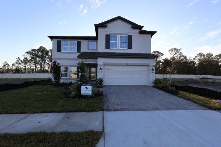 New construction Single-Family house 7903 Painted Sky Place, Land O Lks, Land O' Lakes, FL 34637 plan Coronado  III - image
