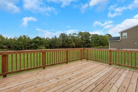 New construction Single-Family house 168 Marchmont Dr, Locust Grove, GA 30248 Corsica w/ Basement- photo 34 34