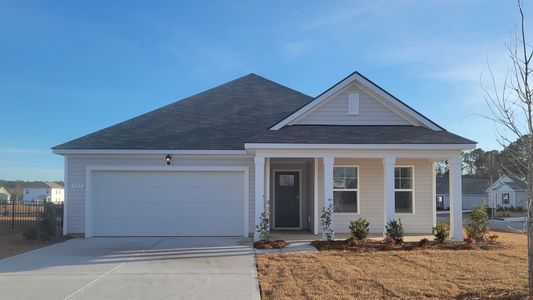New construction Single-Family house 377 Acosta Cir, Conway, SC 29527 plan Aria - image