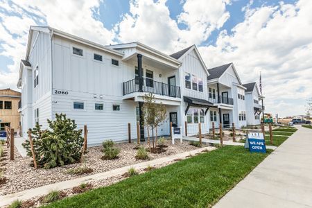 New construction Condo/Apt house 505 N Aria Way, Fort Collins, CO 80524 - photo 6 6