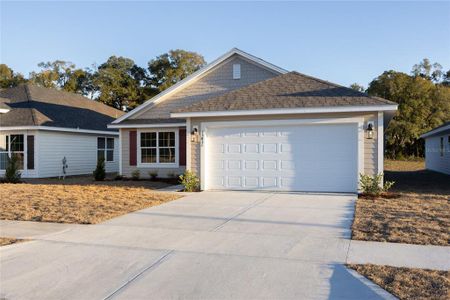 New construction Single-Family house 13831 Nw 150Th Cir, Alachua, FL 32615 plan 1368 - image