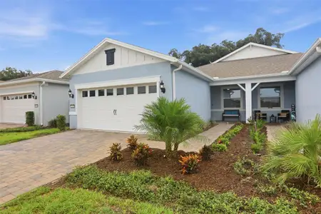 New construction Single-Family house 13640 Splashing Isla Dr, Winter Garden, FL 34787 plan Ellenwood - image