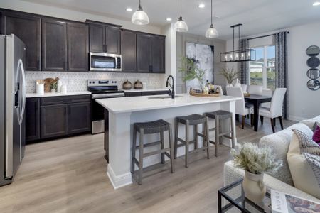 New construction Single-Family house 2011 Town Pasture Dr, Eustis, FL 32726 plan Hayden - image 6