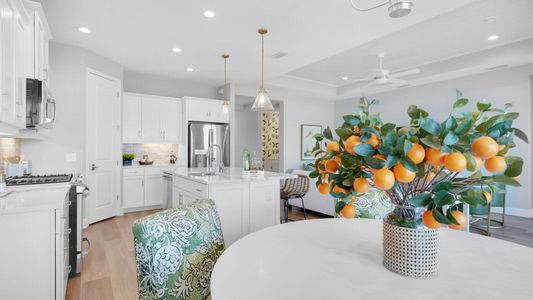 New construction Single-Family house 10025 Hammock Brook Dr, Parrish, FL 34219 plan Meadow Brook - image 15