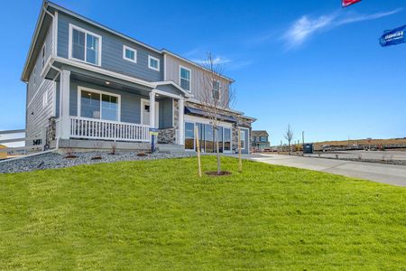 New construction Single-Family house 4837 Cattle Cross Ln, Castle Rock, CO 80104 null- photo 5 5