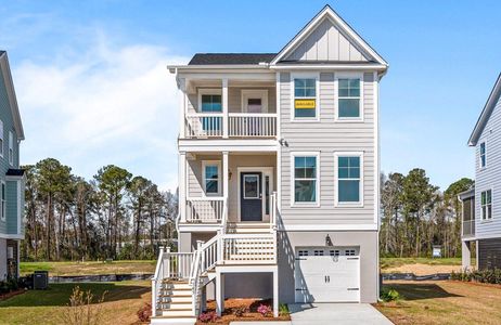 New construction Single-Family house 7038 Elm Tree Lane, Johns Island, SC 29455 Hanover- photo 0