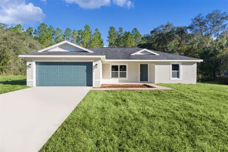 New construction Single-Family house 21 Malauka Radial Cir, Ocklawaha, FL 32179 - image