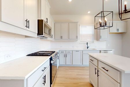 New construction Single-Family house 13101 Mazzone Dr, Manchaca, TX 78652 plan Randall - Capital Series - image 7