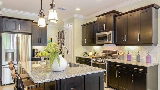 New construction Single-Family house 4248 Pegasus Wy, Naples, FL 34120 plan White Star - image 6