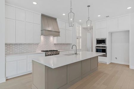 New construction Single-Family house 366 Crosswater Ln, Dripping Springs, TX 78620 plan Lynmar II - image 9