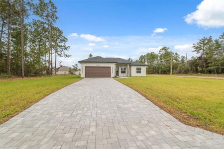 New construction Single-Family house 5100 Sw 155Th Lp, Ocala, FL 34473 - image