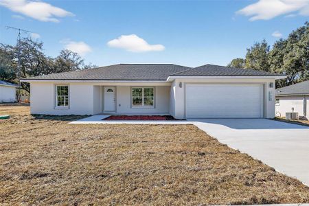 New construction Single-Family house 6052 Sw 209Th Ave, Dunnellon, FL 34431 - image