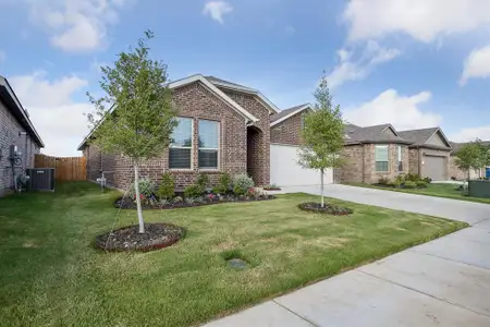 New construction Single-Family house 9609 Alderleaf Trl, Fort Worth, TX 76036 - image