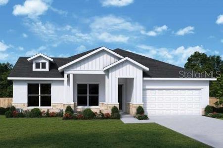 New construction Single-Family house 31543 Godwin Court, Wesley Chapel, FL 33545 The Whaler- photo 0