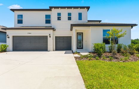 New construction Single-Family house 1622 Canisteo Ct, Zephyrhills, FL 33540 plan Merlot Grand - image