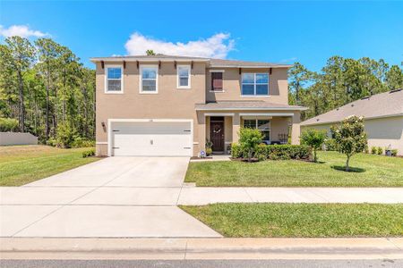 New construction Single-Family house 1333 Morning Walk Dr, Ormond Beach, FL 32174 plan HAYDEN - image