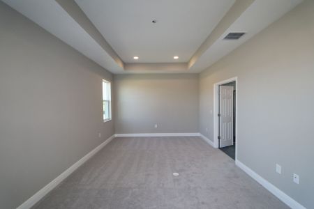 New construction Single-Family house 31229 Denham Ridge Ln, Wesley Chapel, FL 33545 Newport II- photo 101 101