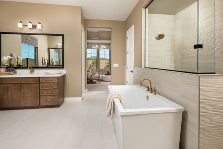 New construction Single-Family house 1742 E Dew Drop Trl, Phoenix, AZ 85085 plan Tyndall - image 10