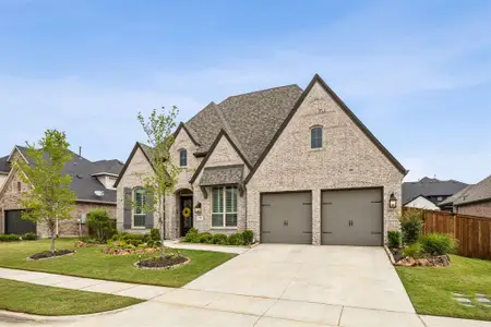 New construction Single-Family house 4108 Fall Aster Wy, Aubrey, TX 76227 - image
