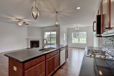 New construction Single-Family house Belmont, NC 28012 - photo 12 12