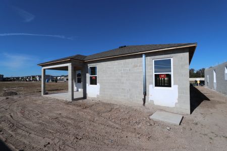 New construction Single-Family house 3142 Adams Cross Dr, Zephyrhills, FL 33540 Picasso- photo 31 31