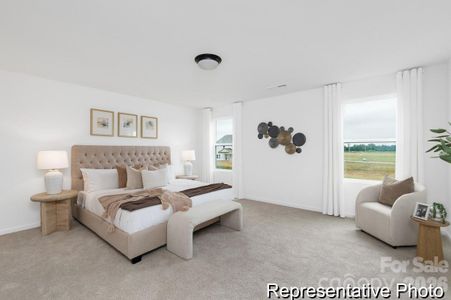 New construction Single-Family house 143 Stonewater Dr, Unit 11, Red Cross, NC 28129 - image