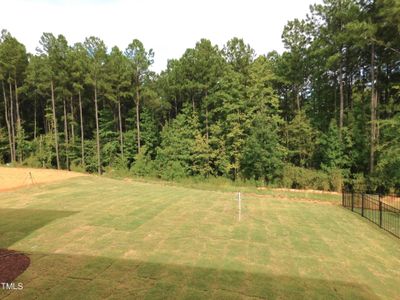 New construction Single-Family house 102 Autumn Gate Street, Pittsboro, NC 27312 - photo 57 57