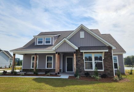 New construction Single-Family house 263 Darby Meadow Lane, Ridgeville, SC 29472 Putnam- photo 0