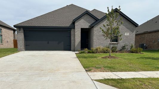 New construction Single-Family house 407 Carthage St, Caddo Mills, TX 75135 plan Violet - image