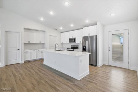 New construction Single-Family house 419 Nw 19Th St, Cape Coral, FL 33993 plan The Paradise Cove - image 13