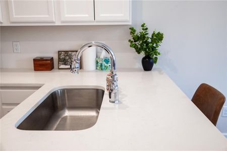 New construction Single-Family house 21 Berry Dr, Dawsonville, GA 30534 - image 7