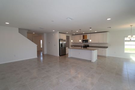 New construction Single-Family house 38350 Tobiano Loop, Dade City, FL 33525 Cabo- photo 154 154