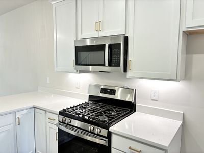 New construction Single-Family house 237 Taylor Woods Ct, Greenville, SC 29607 plan The Princeton A - image 8